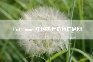 湘阴中国执行执行信息网