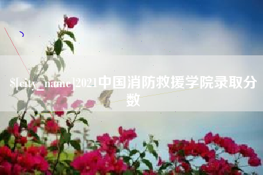 湘阴2021中国消防救援学院录取分数