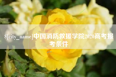 湘阴中国消防救援学院2020高考报考条件
