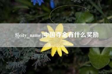 湘阴中国夺金有什么奖励