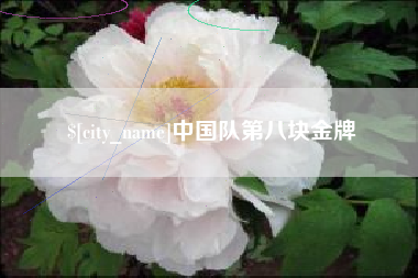 湘阴中国队第八块金牌