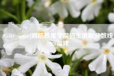 湘阴消防救援学院招生录取分数线2020福建