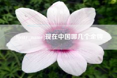 湘阴现在中国哪几个金牌