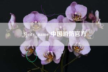 湘阴中国消防官方