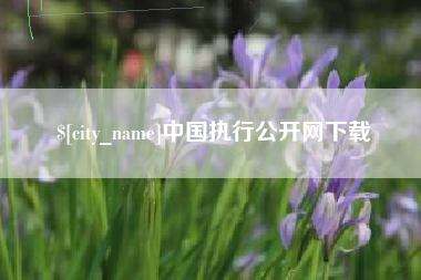 湘阴中国执行公开网下载