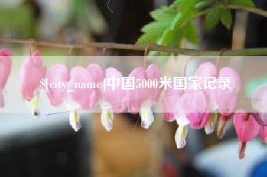 湘阴中国5000米国家记录