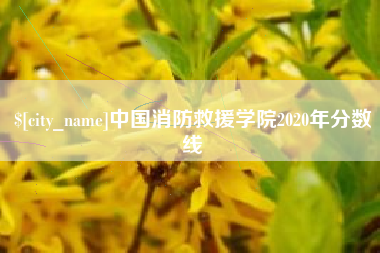 湘阴中国消防救援学院2020年分数线