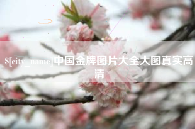 湘阴中国金牌图片大全大图真实高清