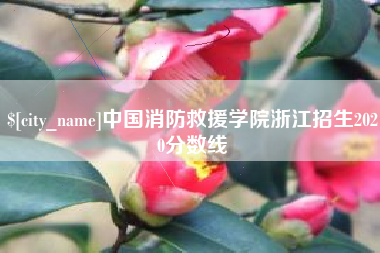 湘阴中国消防救援学院浙江招生2020分数线
