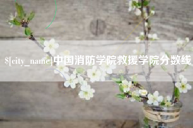 湘阴中国消防学院救援学院分数线