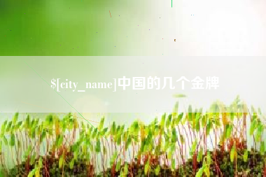 湘阴中国的几个金牌