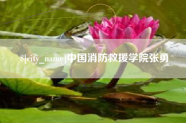 湘阴中国消防救援学院张勇
