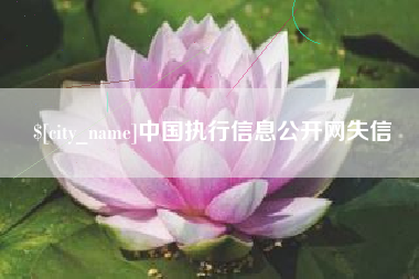 湘阴中国执行信息公开网失信