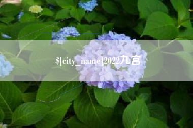 湘阴2022九宫