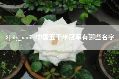 湘阴中国五千米冠军有哪些名字