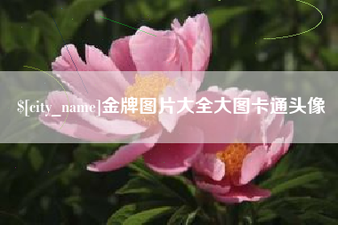 湘阴金牌图片大全大图卡通头像