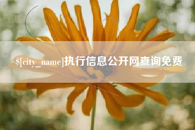 湘阴执行信息公开网查询免费