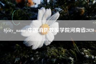 湘阴中国消防救援学院河南省2020