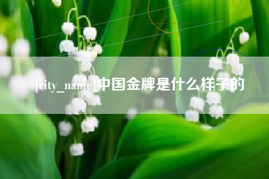 湘阴中国金牌是什么样子的